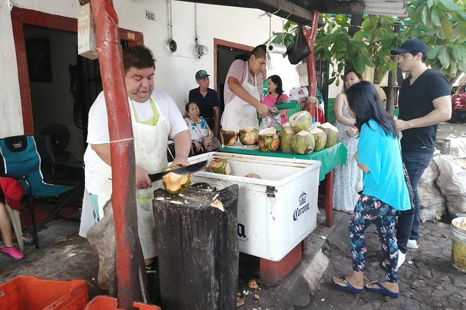 1 to 10 Passengers Vallarta Private City Tour - Los Arcos de Mismaloya and Mismaloya: bay views and famous coastal angles