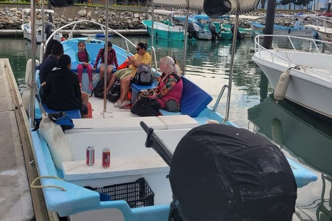 3 Hours of Whale Watching in Puerto Vallarta - When Los Arcos Shows Up, Plus Possible Beach Time
