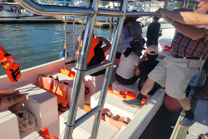 3 Hours of Whale Watching in Puerto Vallarta - Price and Value: What $55 Really Covers