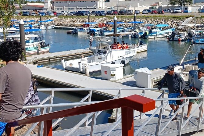 3 Hours of Whale Watching in Puerto Vallarta - Comfort Notes for Couples and Sun Lovers