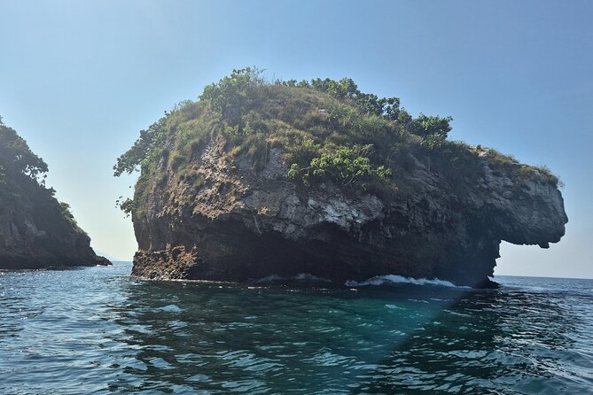 3 hours private snorkeling tour in Misaloya, Puerto Vallarta - Spotting wildlife in the Los Arcos de Mismaloya marine park