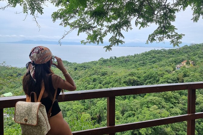 4-Hour Jungle Hike and Waterfall Swim - Price and value: $35 for nature and a real swim