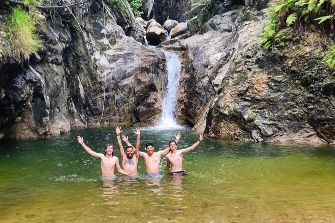 4-Hour Jungle Hike and Waterfall Swim - The trail, the caves, and why the terrain matters more than the distance