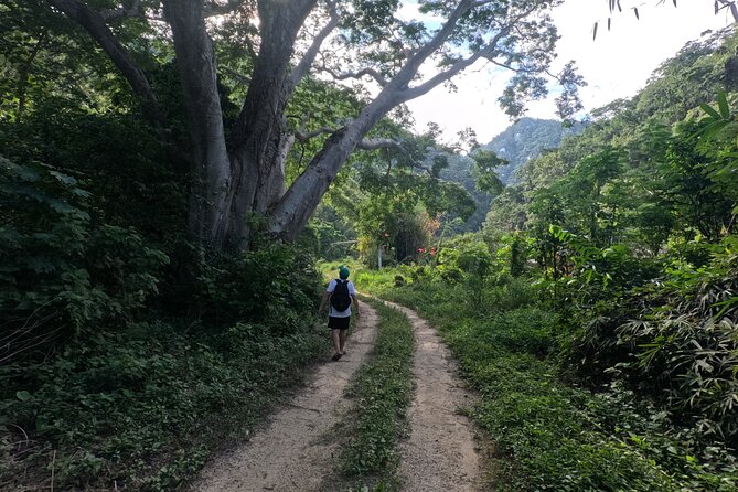 Adventure route: Hike to Cascada Escondida - Reaching Cascada Escondida: Cooling Off in Clear Water