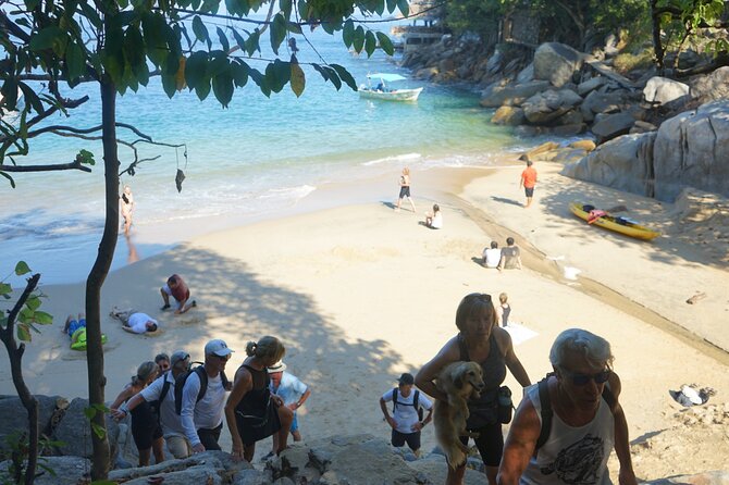 All-inclusive Colomitos cruise and Animas beach snorkeling - Las Ánimas beach: long-ish beach time and an included meal