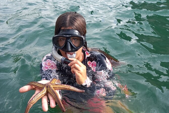 All-inclusive Colomitos cruise and Animas beach snorkeling - Price and what $78 really buys you
