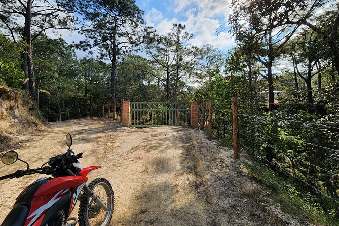Banderas Jeep Tour - Price and What You Really Get for $359.07