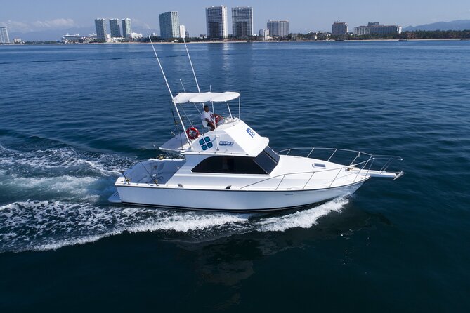 Bertram 38' Convertible Boat in Puerto & Nuevo Vallarta - Price and value, especially when you fill the boat