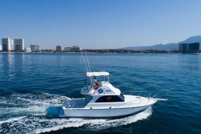 Bertram 38' Convertible Boat in Puerto & Nuevo Vallarta - The snorkeling stop at wildlife rocks: the main event