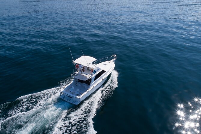 Bertram 38' Convertible Boat in Puerto & Nuevo Vallarta - Duration flexibility: from half-day plans to longer group days