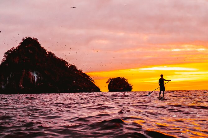 Bioluminescence by kayak or SUP to Los Arcos Puerto Vallarta - Where Bioluminescence Fits Into Your Puerto Vallarta Night