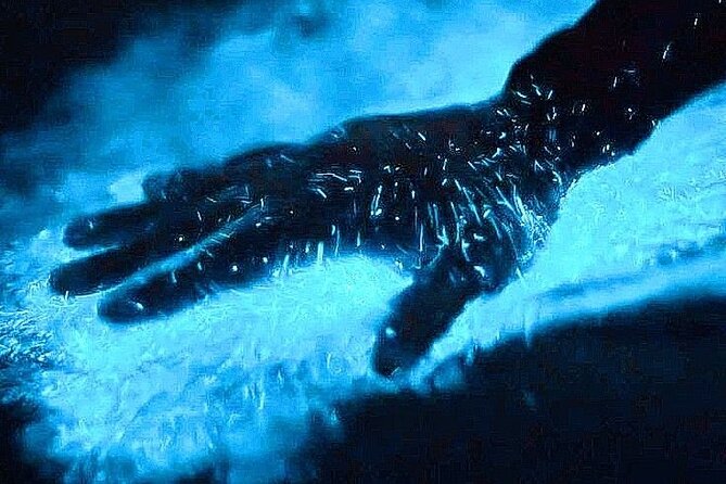 Bioluminescence & sunset local boat tour to Los Arcos Sanctuary - Key reasons this is a standout Los Arcos night tour