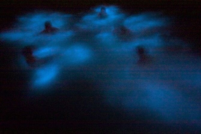 Bioluminescence & sunset local boat tour to Los Arcos Sanctuary - Bioluminescence at night, the moment the bay turns into a constellation
