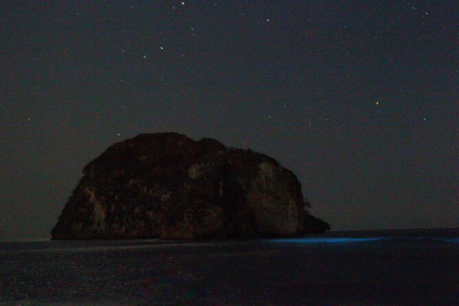 Bioluminescence & sunset local boat tour to Los Arcos Sanctuary - Value check: is $83.99 worth it for 3 hours?