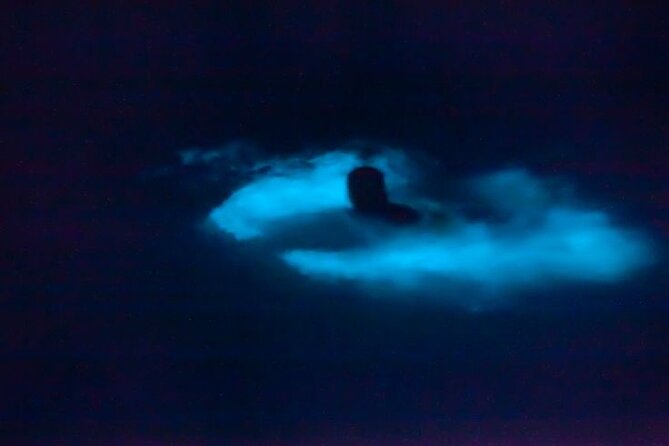 Bioluminescence & sunset local boat tour to Los Arcos Sanctuary - The Los Arcos sanctuary walkthrough, what the guides actually bring to the trip
