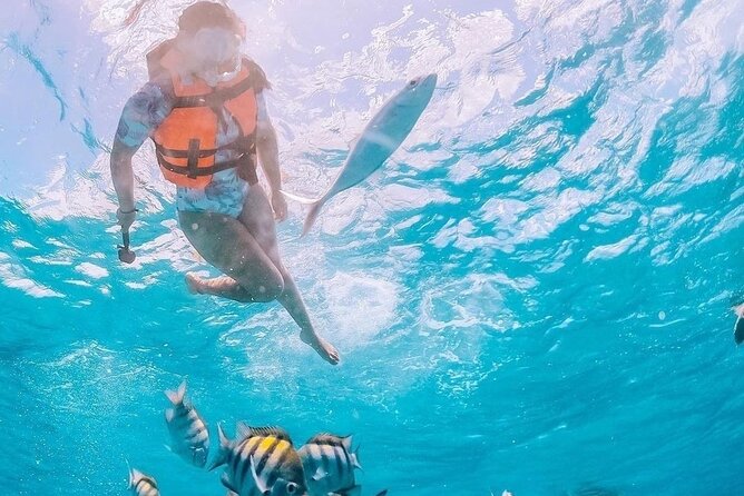 Boat and Snorkel Tour to 5 Islands of Los Arcos - Los Arcos National Marine Park: why this spot matters