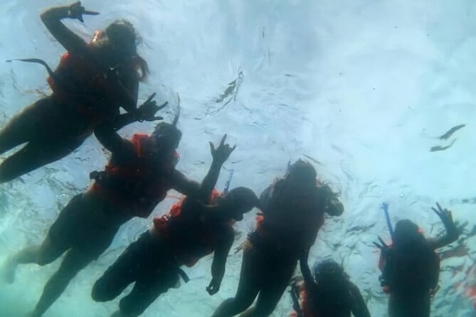Boat and Snorkel Tour to 5 Islands of Los Arcos - Five islands, sea caves, and bird sanctuaries