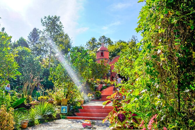 Botanical Garden: Private Day Trip of Flora & Fauna in Vallarta. - Why This Private Flora and Fauna Trip Works So Well