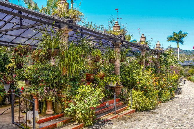 Botanical Garden: Private Day Trip of Flora & Fauna in Vallarta. - A Plant-Focused Day That Still Feels Relaxed