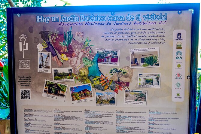 Botanical Garden: Private Day Trip of Flora & Fauna in Vallarta. - Stop 5: Jewelry and Marino Marino, an Optional Comfort Stop With Fire Opal