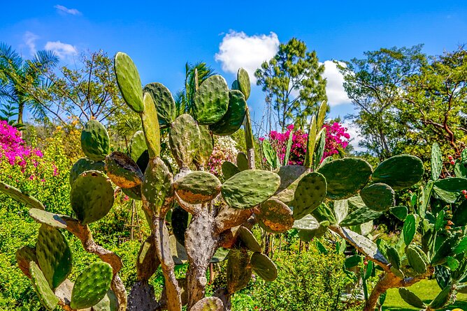 Botanical Garden: Private Day Trip of Flora & Fauna in Vallarta. - Stop 1 and Stop 6: Puerto Vallarta Time, Pickup-Driven Flow