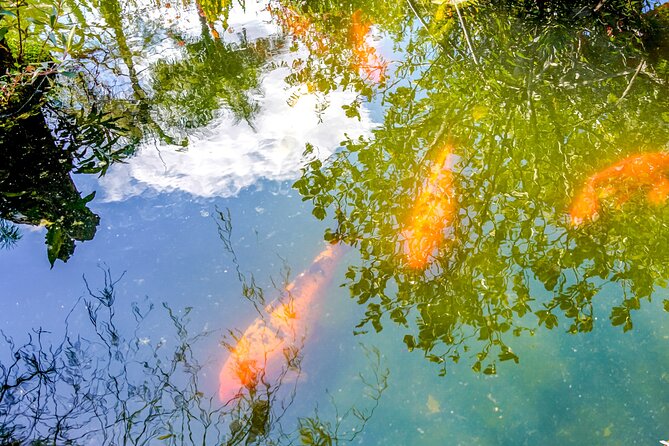 Botanical Garden: Private Day Trip of Flora & Fauna in Vallarta. - Price and Value: What $107.99 Buys You, and How to Judge It