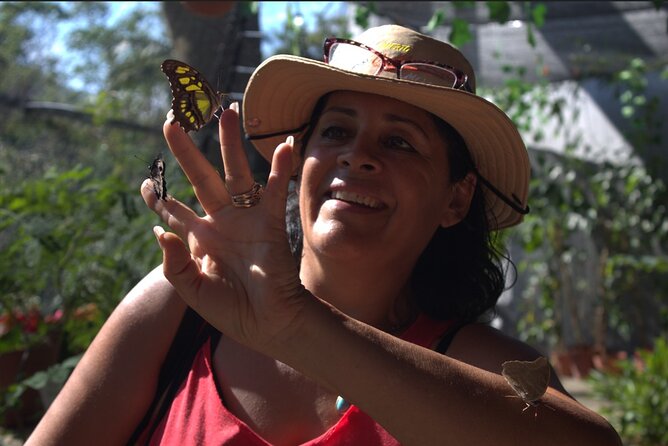 Butterflies, City tour, tequila, and beach (kids free) - Key highlights you will actually care about