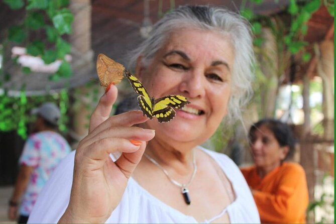 Butterflies, City tour, tequila, and beach (kids free) - Mariposario Morpho Puerto Vallarta: Egg to adult butterflies, plus river-side relaxation