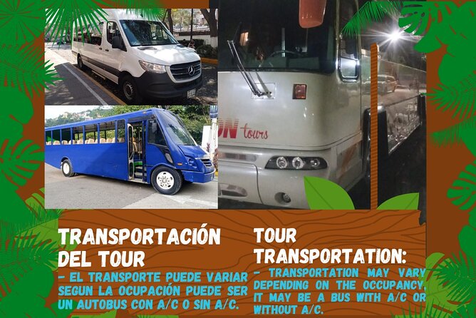 Butterflies, City tour, tequila, and beach (kids free) - Punta Negra beach photo pass: The “wait, where is that?” moment