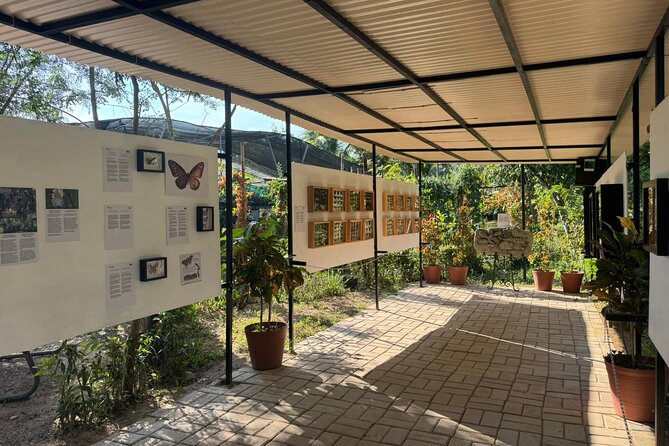 Butterfly Sanctuary, Museum & Lunch with Transport - Lunch after butterflies: traditional Mexican food, not a fast-food detour