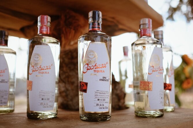 Cachasol Raicilla and Tequila Tour - Price, Time, and Getting There from Sayulita