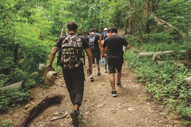 Canopy EcoPark Adventure with transportation from Puerto Vallarta - Who this Puerto Vallarta adventure fits best