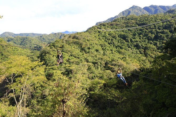 Canopy River Zipline Tour and Mule Ride - What Safety Prep Feels Like Before You Clip In