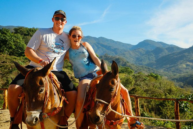 Canopy River Zipline Tour and Mule Ride - Flying at About 200 Meters Above the River Canopy