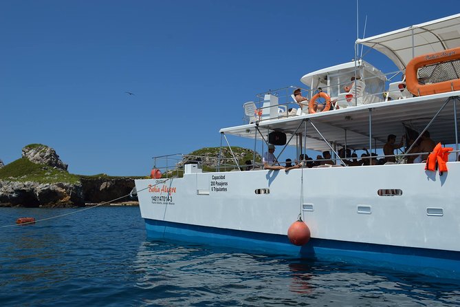 Catamaran Islas Marietas - Snorkel & Open Bar - Should you book Catamaran Islas Marietas, Snorkel & Open Bar?