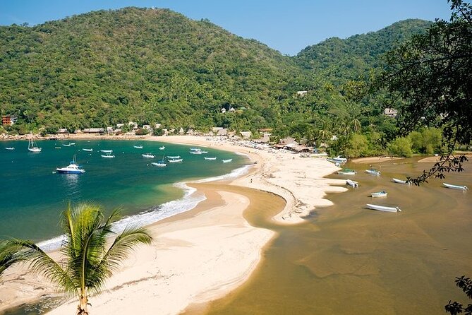Catamaran Yelapa Beach Tour with Snorkeling, Food and Open Bar - Quick hits for this Puerto Vallarta catamaran tour