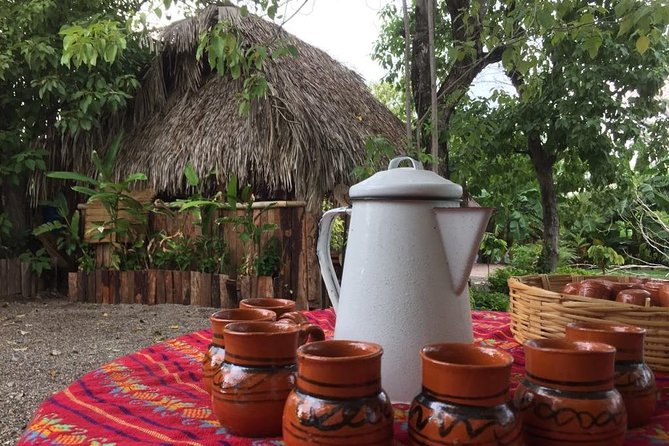 Chocolate Tour in Vallarta - Planeta Cacao: a real cacao garden close to Puerto Vallarta