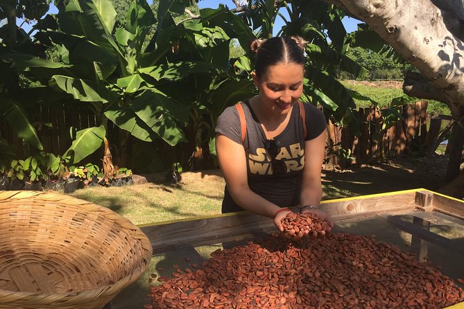 Chocolate Tour in Vallarta - Who will enjoy this most, and who should adjust expectations