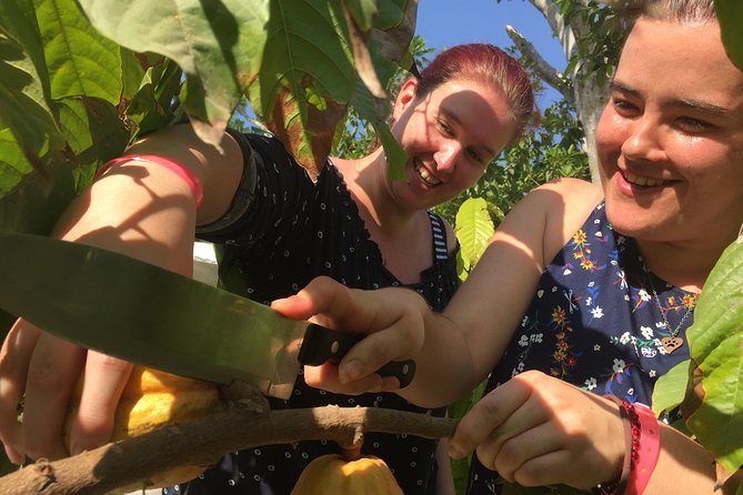 Chocolate Tour in Vallarta - Should you book the chocolate tour at Planeta Cacao?