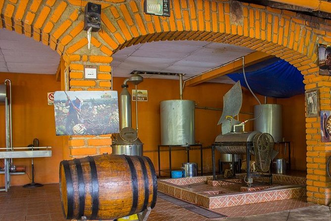 City and Tequila Tour in Puerto Vallarta - Rancho Verano Summer’s Ranch: Tequila from Agave to Tasting Glass