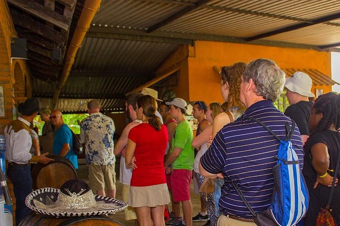 City and Tequila Tour in Puerto Vallarta - Transportation and Timing: Why the 6 Hours Feels Manageable