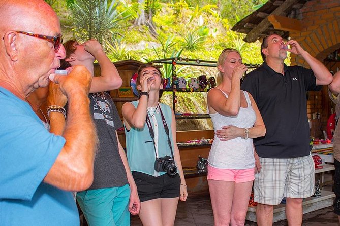 City and Tequila Tour in Puerto Vallarta - Price and Value: What You Get for $66 and What Can Cost Extra