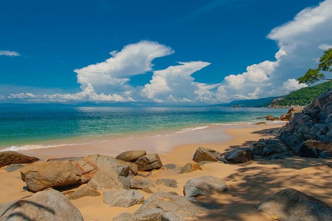 City Tour Express in Puerto Vallarta and Paradise Beaches - Key Highlights You’ll Notice Fast