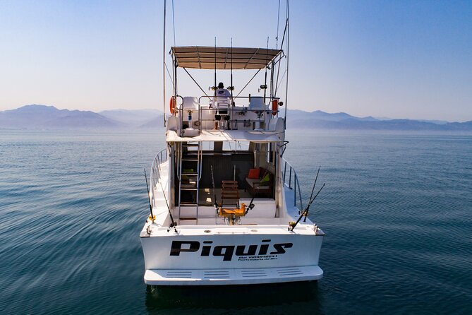 Custom 46' Boat in Puerto & Nuevo Vallarta - Whale watching and dolphin sightings, plus your certificate