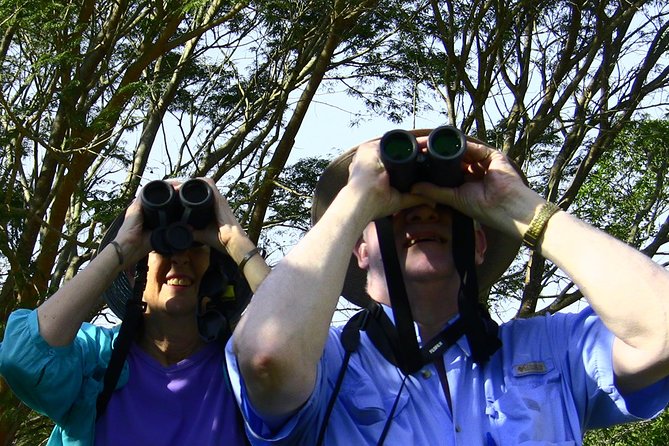 Desembocada and Ameca River Bird Paradise (Wetland and Tropical birds in PV) - How the guides help you see more than you expect