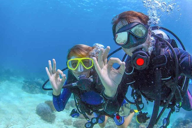 Discover Scuba experience at Las Caletas, Puerto Vallarta - Gear, Safety, and the Real Value of Certified Coaching
