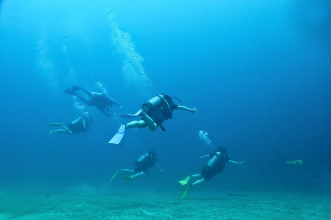 Discover Scuba experience at Las Caletas, Puerto Vallarta - Who Should Book, and Who Should Skip This One