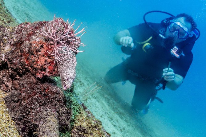 Discover Scuba experience at Las Caletas, Puerto Vallarta - The Underwater Tryout: Caves, Reefs, and What You’ll Likely See