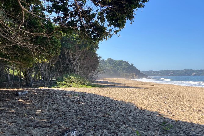 Ecocultural Jungle Hike & Secret Beach Experience - Timing and weather: when a 3:00 pm start works best