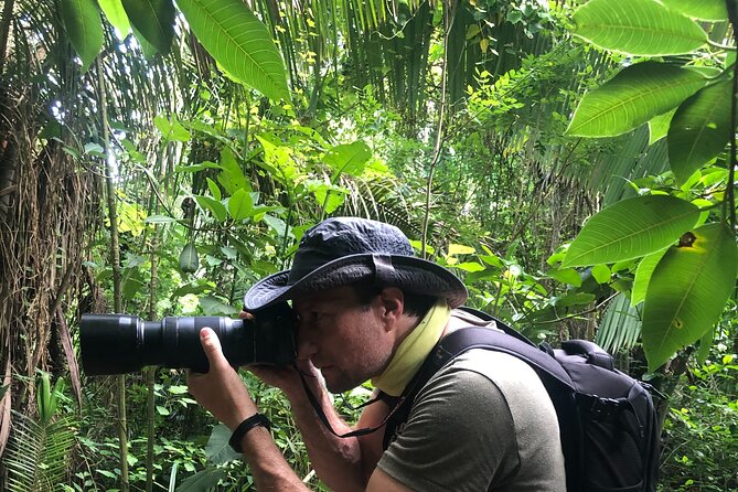 EcoHike to private beach, Jungle Walk to see plants & animals - The Pace: Why This Hike Feels Tougher or Easier Depending on You
